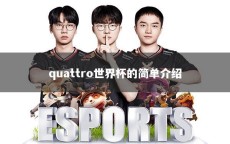 quattro世界杯的简单介绍