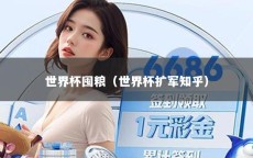 世界杯囤粮（世界杯扩军知乎）