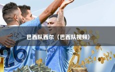 巴西队西尔（巴西队视频）