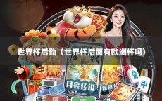 世界杯后勤（世界杯后面有欧洲杯吗）